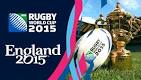 Rugby World Cup Tickets | Search Results | InsectAnatomy