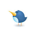 Twit bird