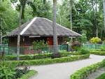 Bahay Kubo designs | Samal Bahay Kubo