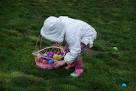 Easter Egg Hunt Free Stock Photo - Public Domain Pictures