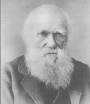 The Scientists: Charles Darwin. - darwin