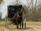 File:Mennonite and carriage