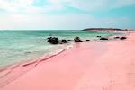 Image result for pink sand beach