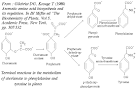 <b>Aromatic amino acid</b>