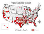 where do hogs live in alabama? ive heard there are tons down south