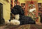 White House Christmas decorations unveiled: it's gone to the dogs ...