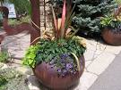 Plants Decorate Garden Patio - Best Patio Design Ideas