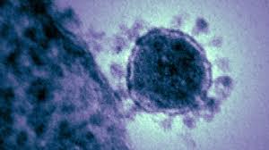 Killer-Keim: Coronavirus breitet sich aus
