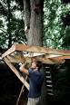 Tree House Plans - How to Build a Backyard Tree House - Popular ...