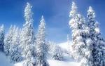 Winter Scene Hd Widescreen Wallpapers - 1920x1200px HD Wallpaper ...