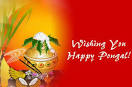 Pongal Images, Pictures, Graphics