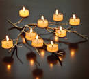 Tree Branch Candle Holders | Candle Chandeliers and Lighting