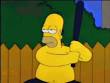 homer snakes 240x180 - mobile9