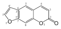<b>Psoralens</b> act as