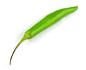 SERRANO Peppers - Growing-