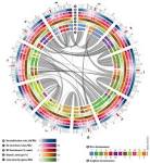 plant <b>genome</b> research back
