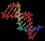<b>Genome</b> sequence