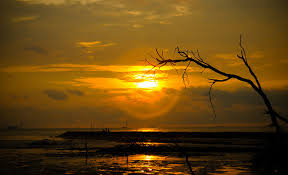Senja | Flickr - Photo Sharing! Senja | Flickr - Photo Sharing!