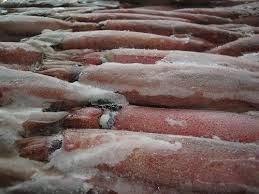 Vựa cá Phượng Hồng chuyên cung cấp các mặt hàng cá mực các loại-giá cả phải chăng - 6