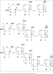 Since these <b>oligosaccharides</b>