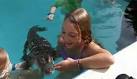 Rent-a-reptile: Florida company adds alligators to kids' pool ...
