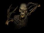 <b>Skulls Skull</b>