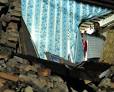 Sikkim quake: Bad weather hampers rescue work