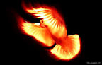 The Holy Spirit Insurance Plan | Catholic Man Night
