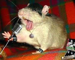 a singing mouse,that mouse