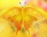 3D Yellow Wallpapers | Themes Background