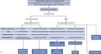 ScienceDirect.com - EMC - Pediatría - <b>Enfermedades</b> de <b>la corteza</b>