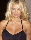 Pamela Anderson says immigrants should accept the legal citizenship process - pamela-anderson-picture-1