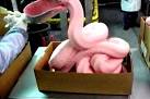 PINK SLIME: It's What's for Lunch in America's Schools