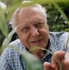 WFN Film by David Attenborough �� Whitley Fund for Nature