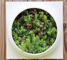 Living Wall Planter Comes Preplanted by Twisted Metals ...