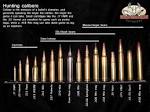 The basics of rifle bullet caliber