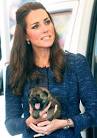 KATE MIDDLETON, Prince William Pose With Puppies in New Zealand.