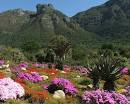 Beyond the greenhouse : Slideshow : Nature News