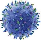 Targeting CD20 B-cell Antigens in Cancer - BioOncology