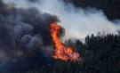 Colorado wildfire: Backburns planned, Glacier View residents must ...