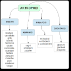 Gli <b>Artropodi</b> non possiedono