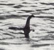 Loch Ness Monster - Wikipedia, the free encyclopedia