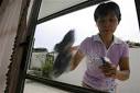 Maids' day off fuels Singapore foreigners debate | Reuters