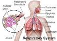 <b>Hemoptysis</b> - definition and