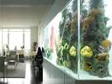 AT on... Home Aquariums | Apartment Therapy