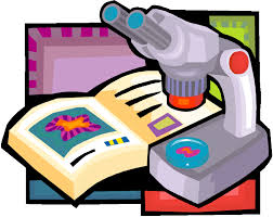 http://t2.gstatic.com/images?q=tbn:ANd9GcSkpM3TZak3gyAZ4q5FvX3cJnAz8fTG4Jrn3j5FiIY9glfrEovmZg