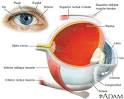 <b>Cataract extraction</b>; <b>Cataract</b>
