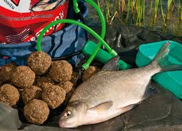 19 TIPS FOR GREAT GROUNDBAIT | Anglers Mail