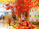 CHINESE NEW YEAR - China Pictures