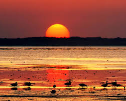Image result for sunsets